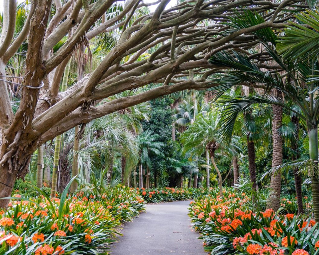 Royal Botanic Gardens